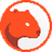 image coin